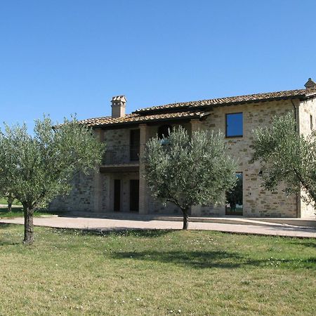 Valle Di Assisi Country Apartments Eksteriør bilde