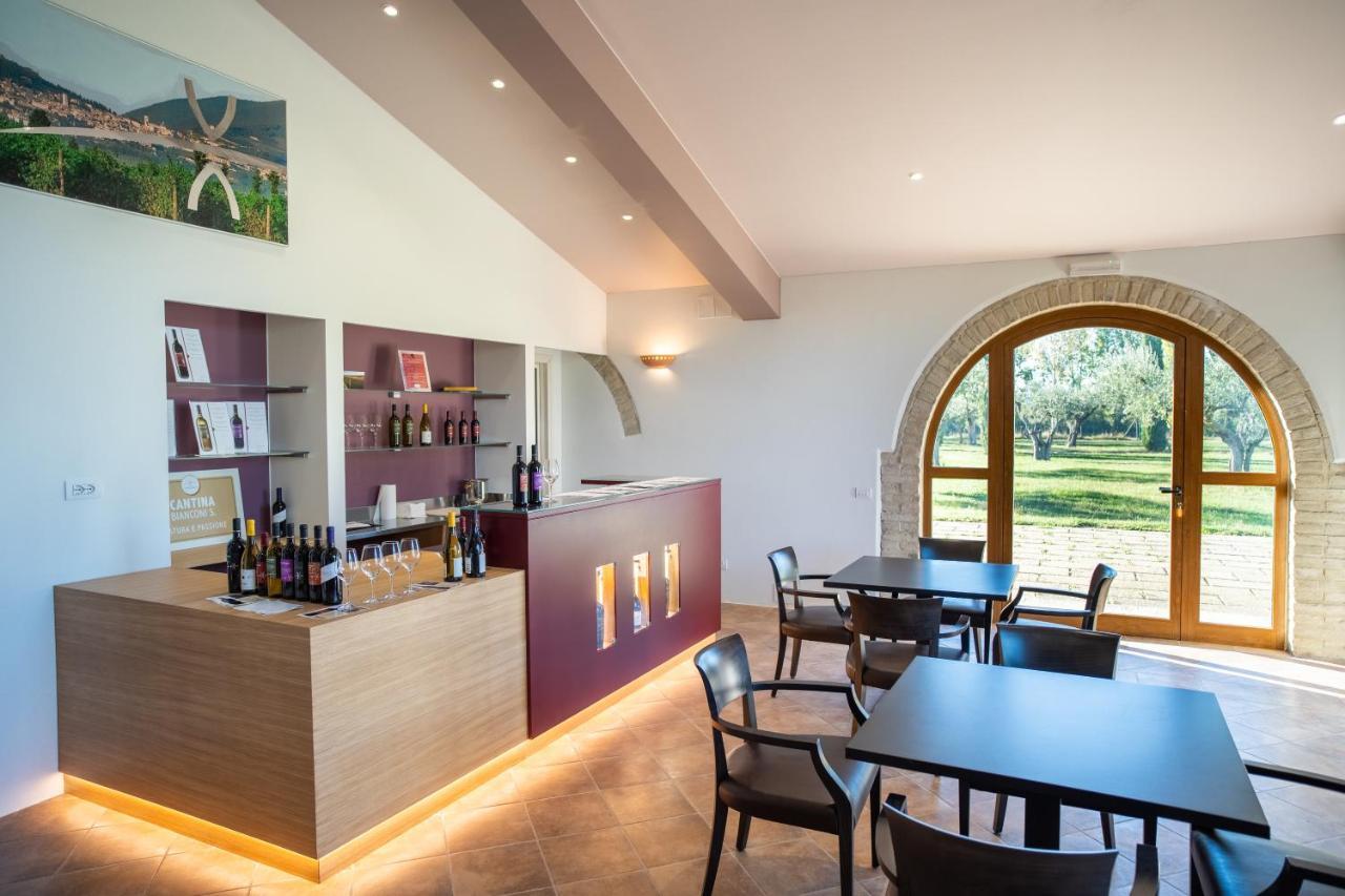 Valle Di Assisi Country Apartments Eksteriør bilde