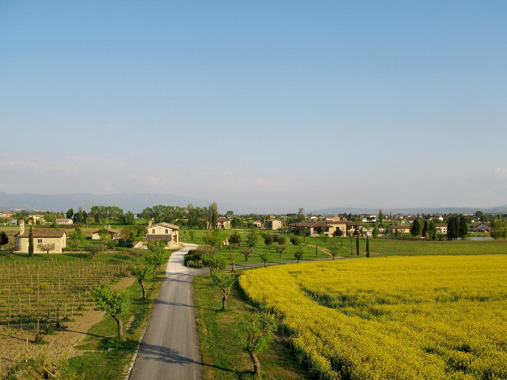 Valle Di Assisi Country Apartments Eksteriør bilde