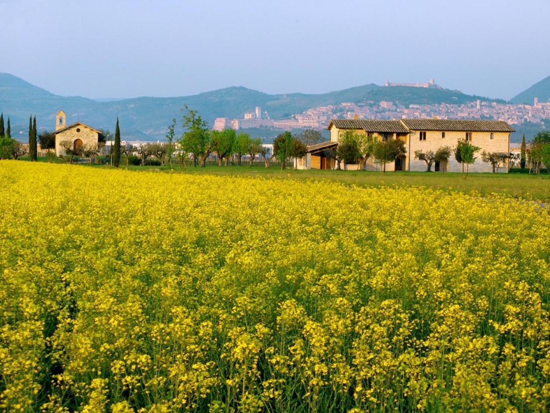 Valle Di Assisi Country Apartments Eksteriør bilde