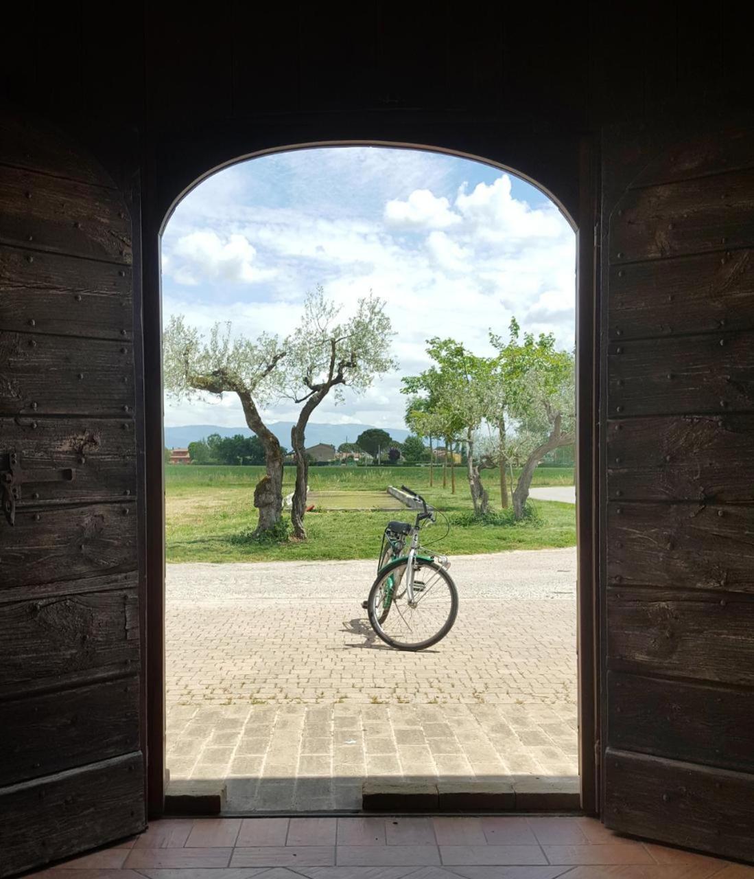 Valle Di Assisi Country Apartments Eksteriør bilde
