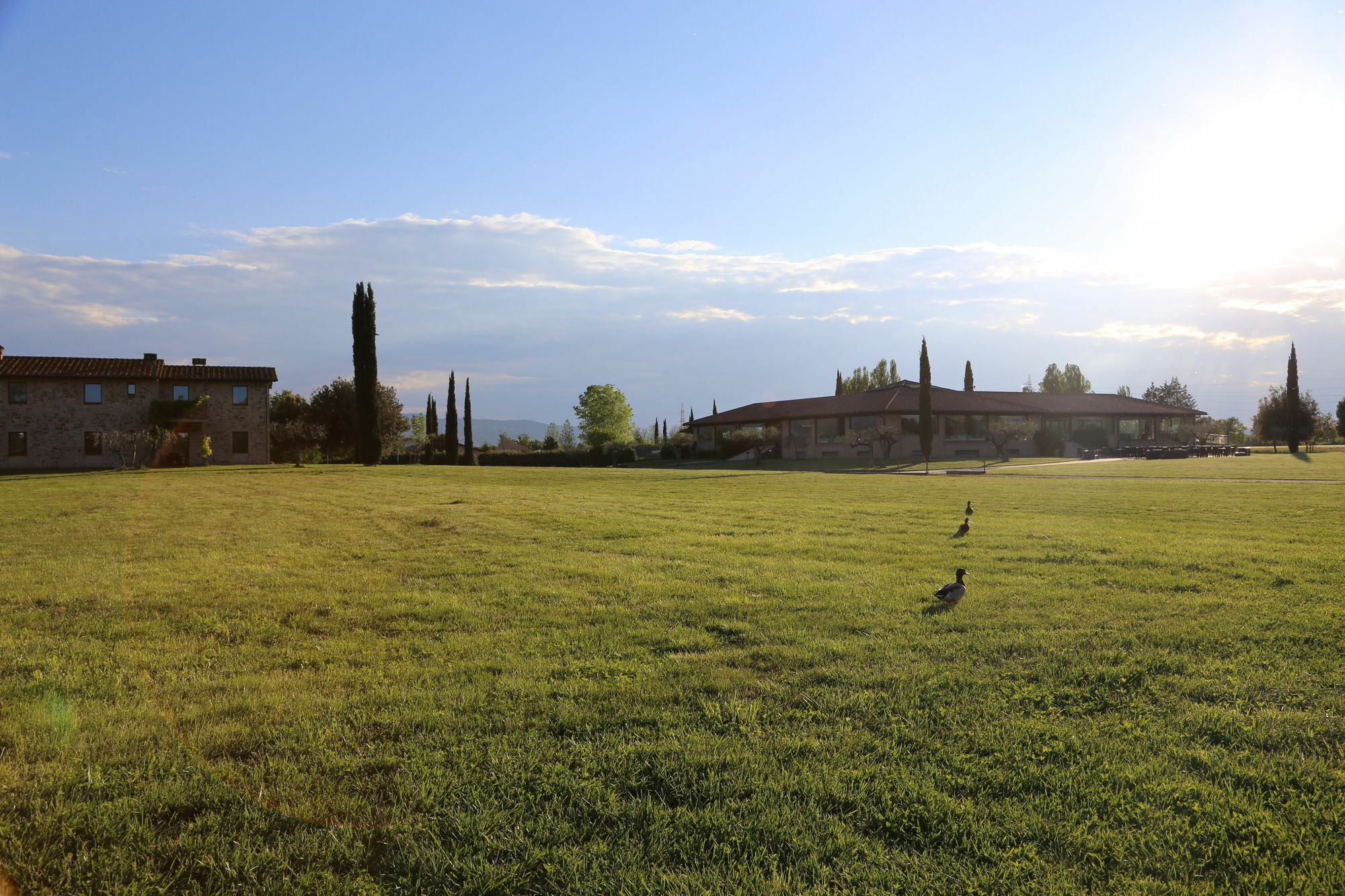 Valle Di Assisi Country Apartments Eksteriør bilde