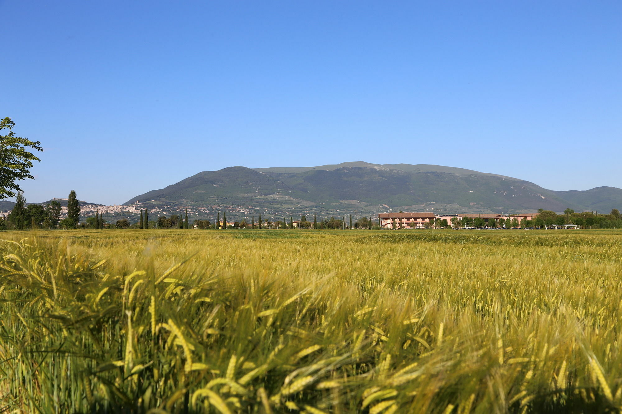 Valle Di Assisi Country Apartments Eksteriør bilde