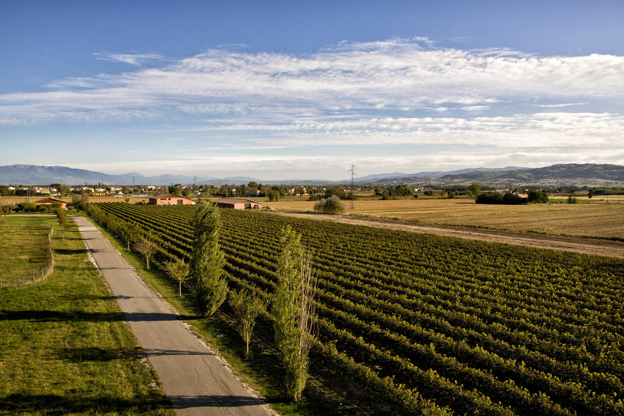 Valle Di Assisi Country Apartments Eksteriør bilde