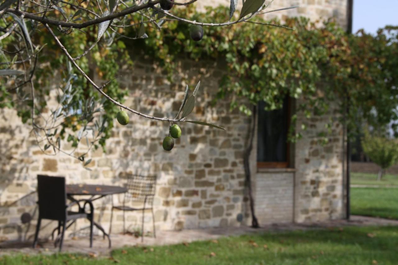 Valle Di Assisi Country Apartments Eksteriør bilde